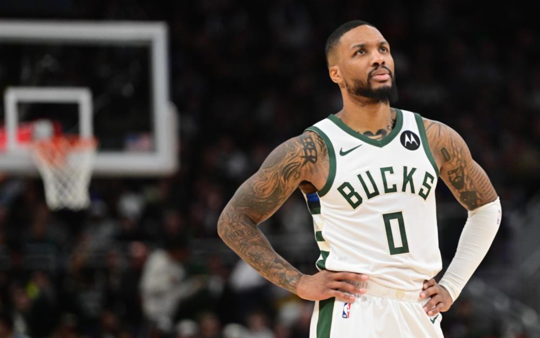 作为中国网 作为中国网