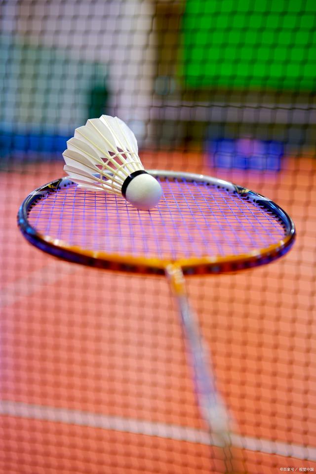 的国际交流 的国际交流